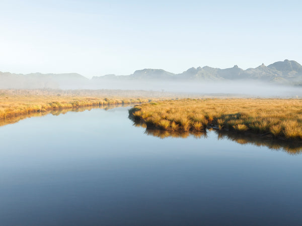 Aotea, Aotearoa / New Zealand