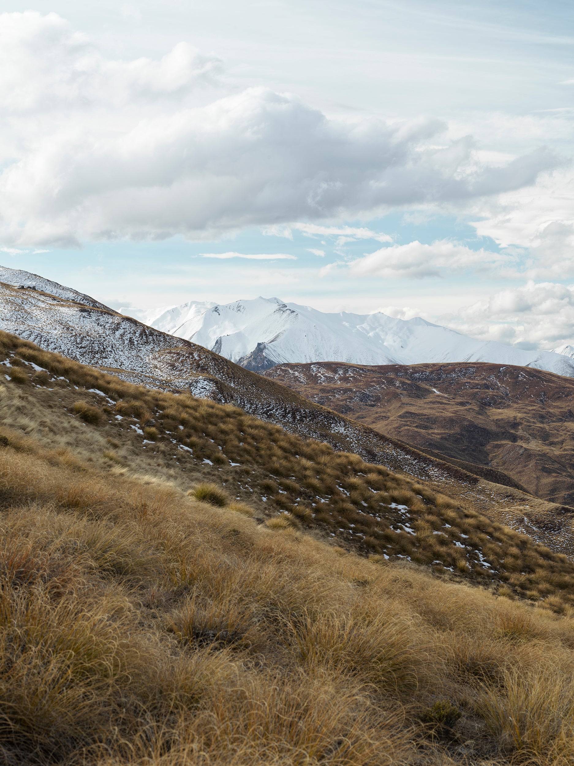 McDonalds Dust, Aotearoa / New Zealand