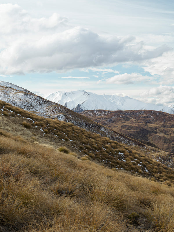 McDonalds Dust, Aotearoa / New Zealand