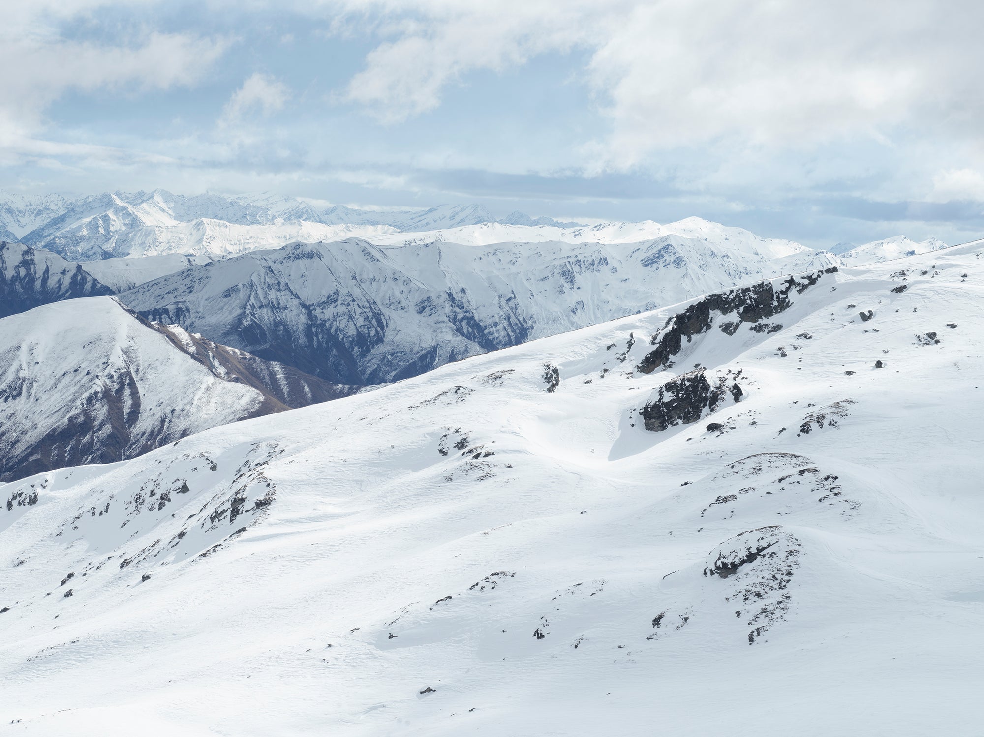 Soho, Aotearoa / New Zealand
