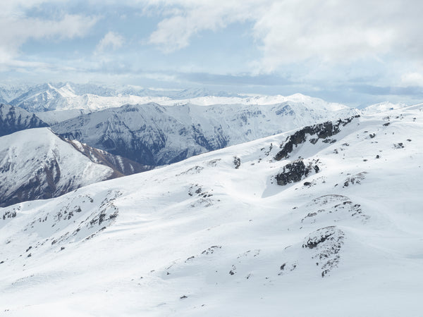 Soho, Aotearoa / New Zealand