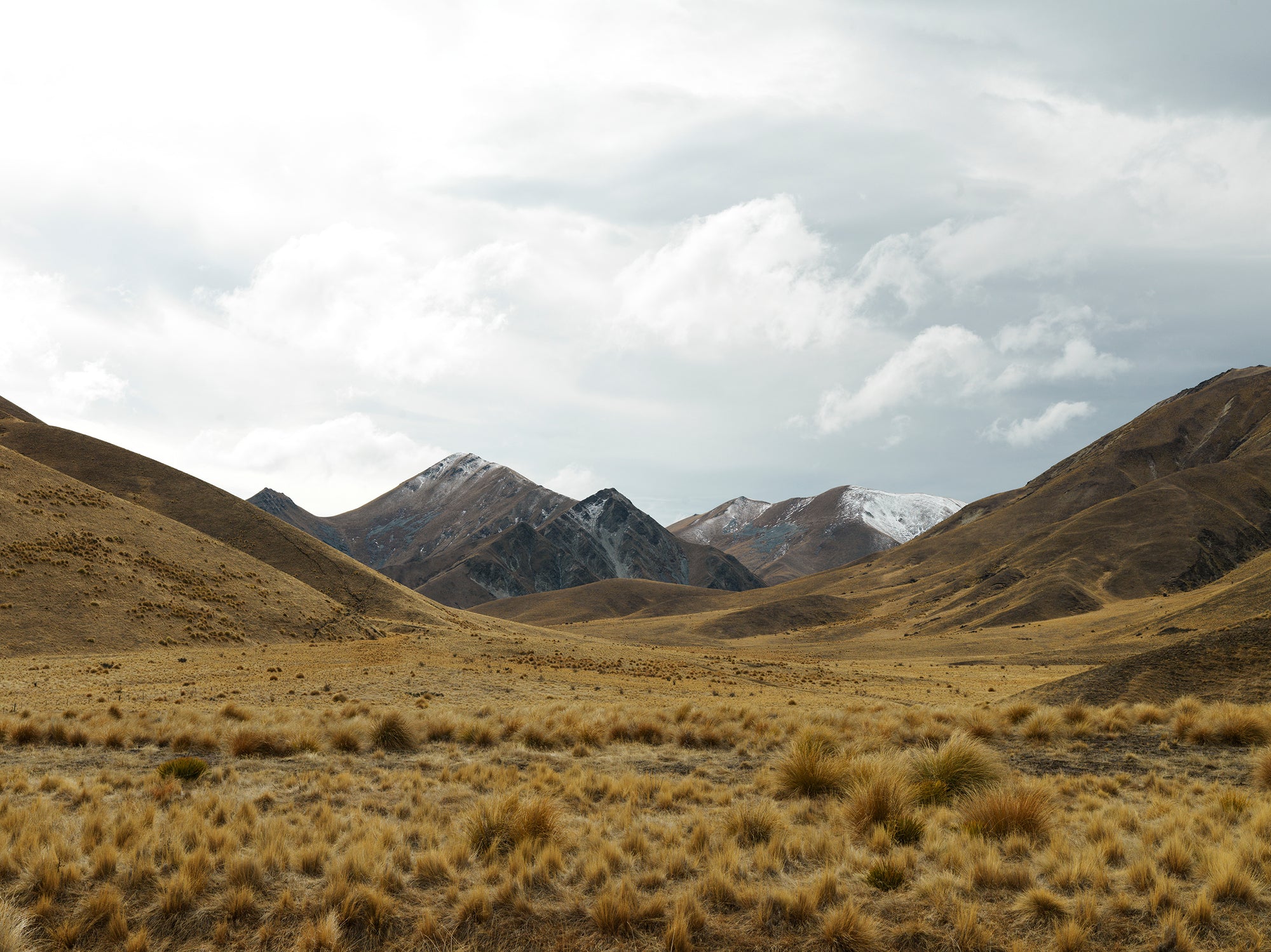 Tussock Trail, Aotearoa / New Zealand