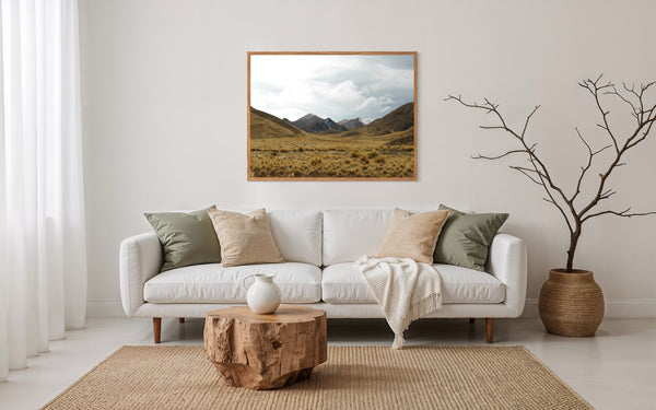 Tussock Trail, Aotearoa / New Zealand