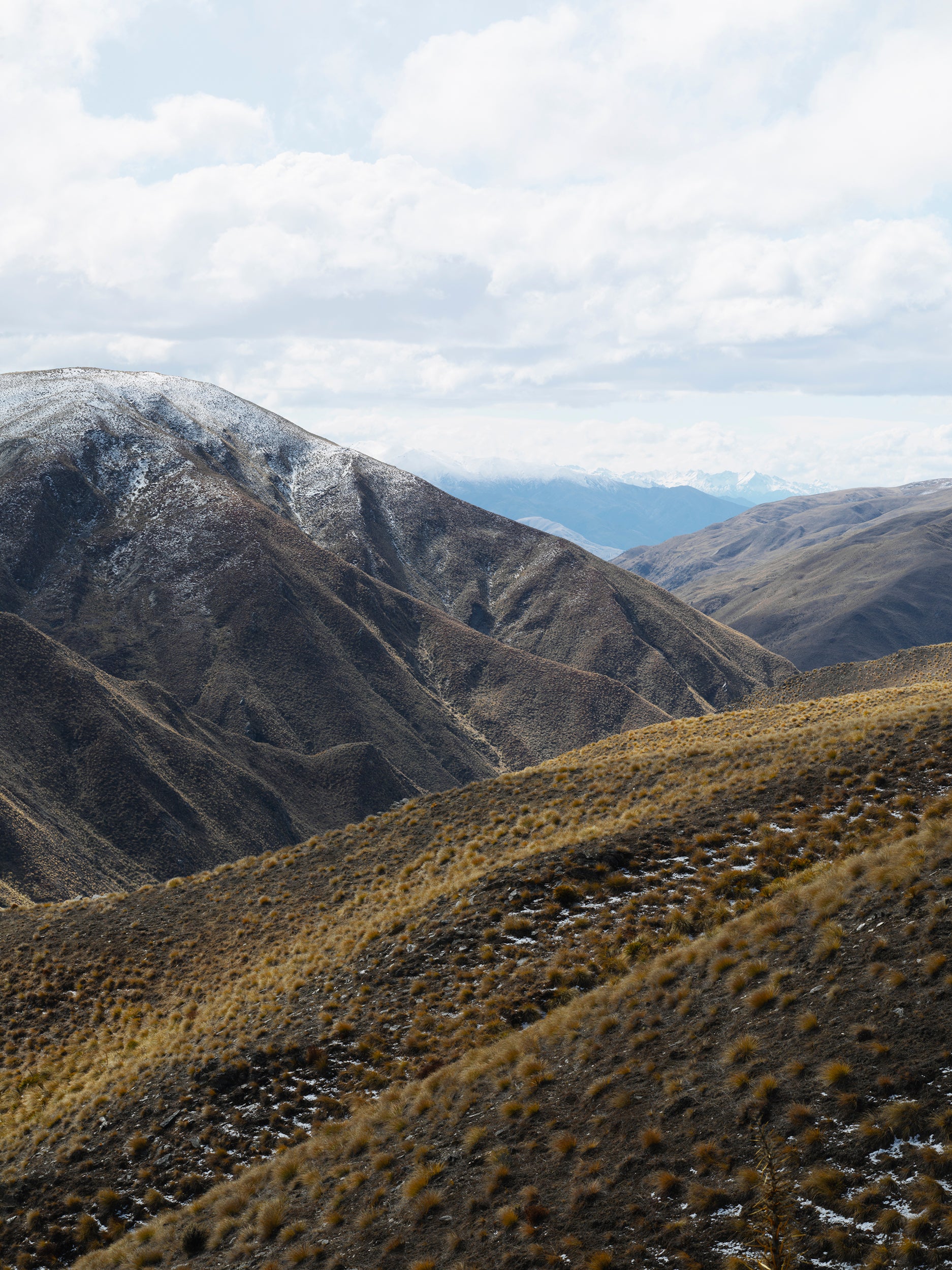 Crown Dusting, Aotearoa / New Zealand