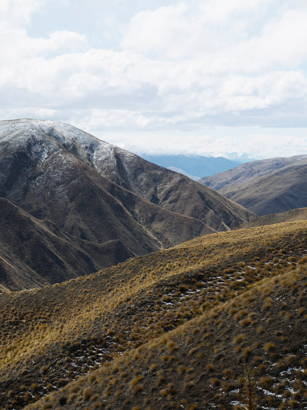 Crown Dusting, Aotearoa / New Zealand
