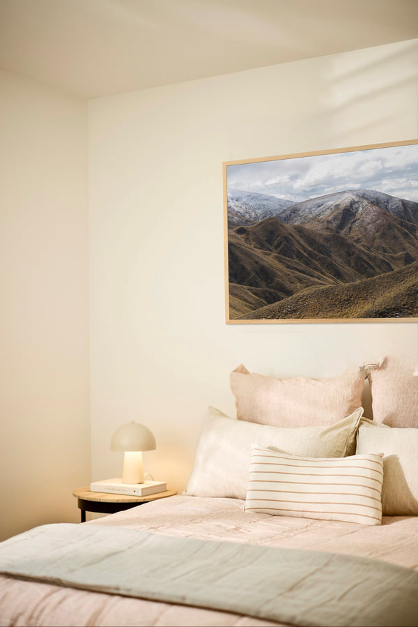 Crown Dusting II, Aotearoa / New Zealand