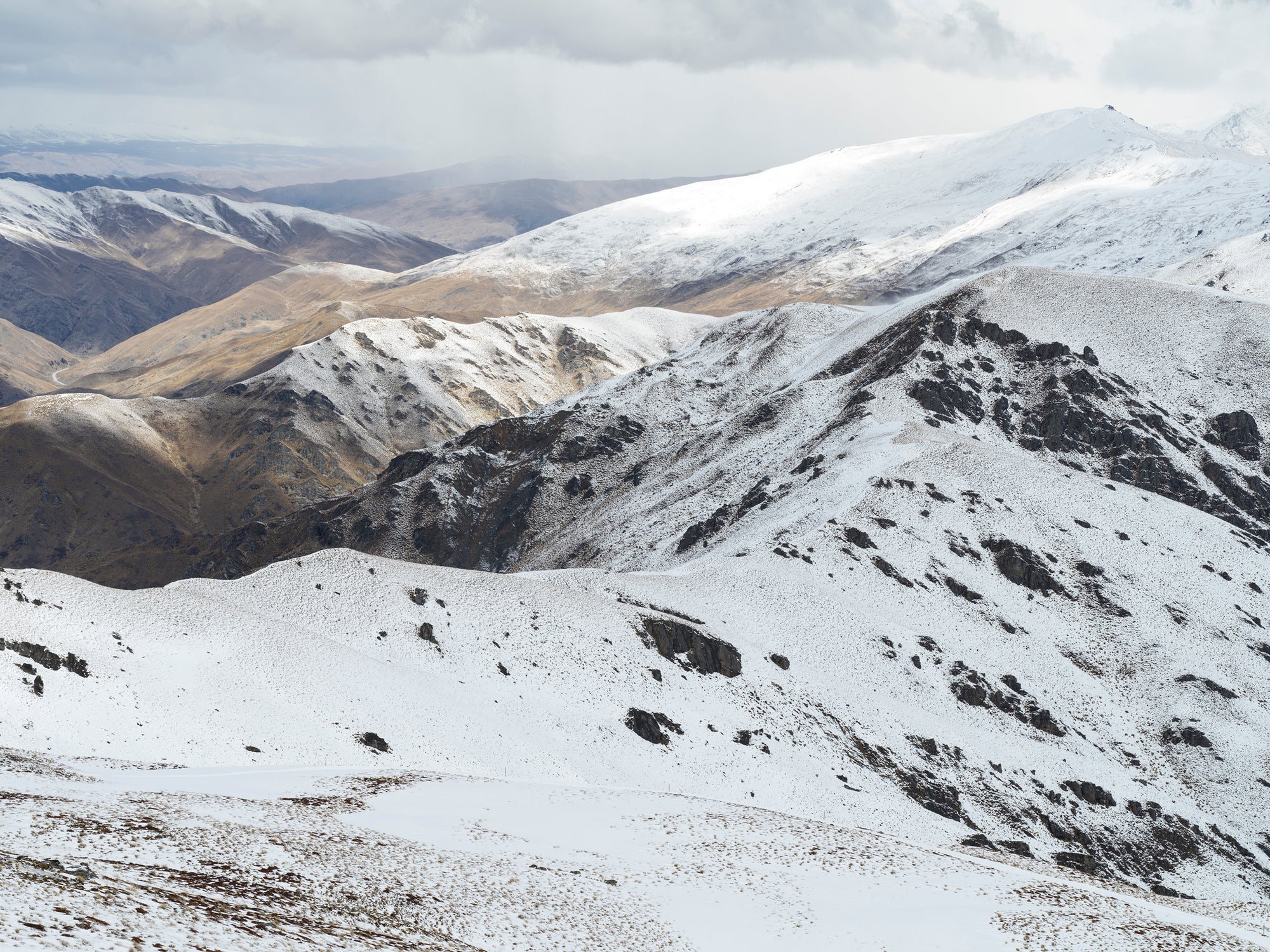 Snow Crown, Aotearoa / New Zealand