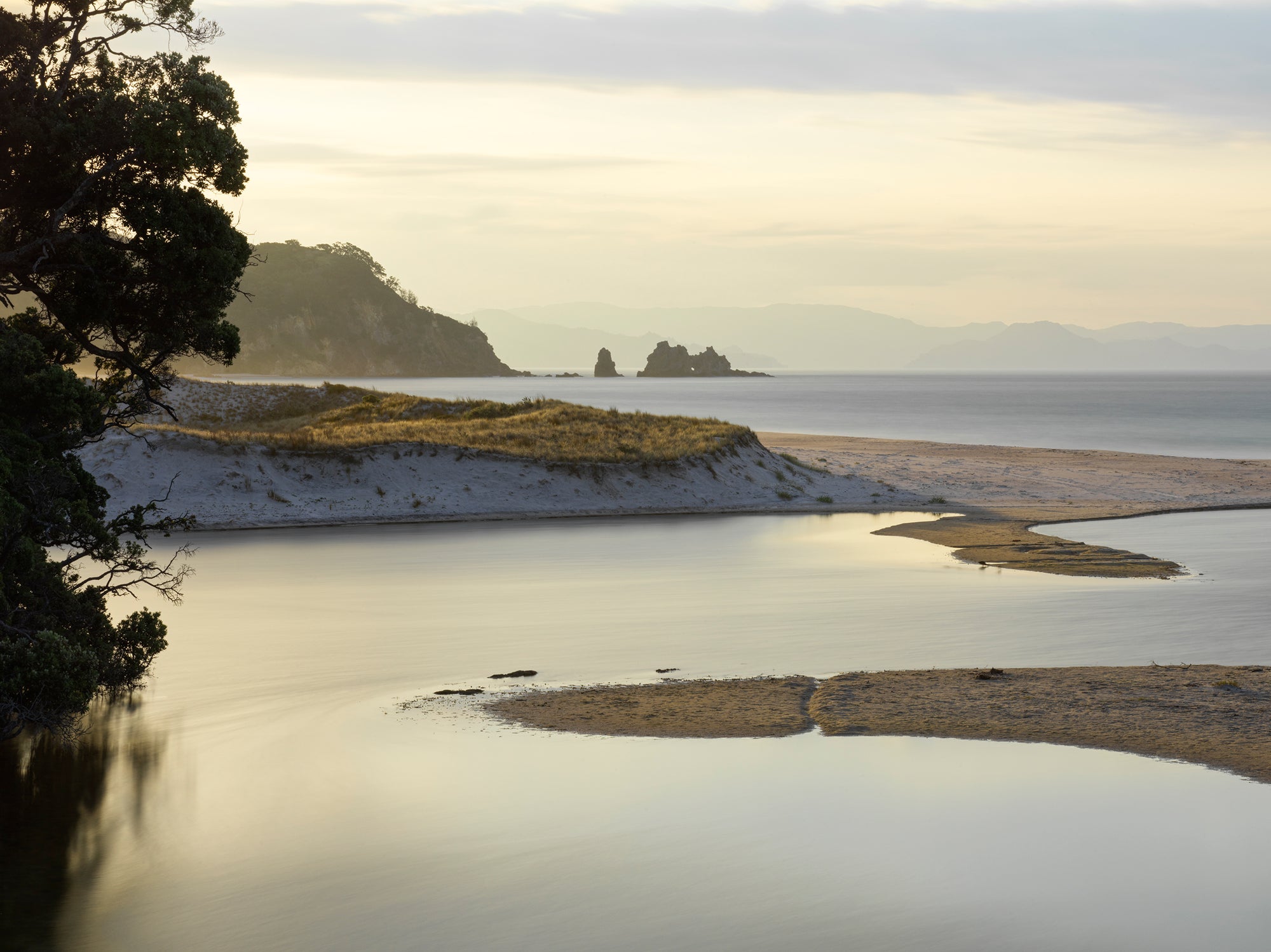 East Coast Estuary, Aotearoa / New Zealand
