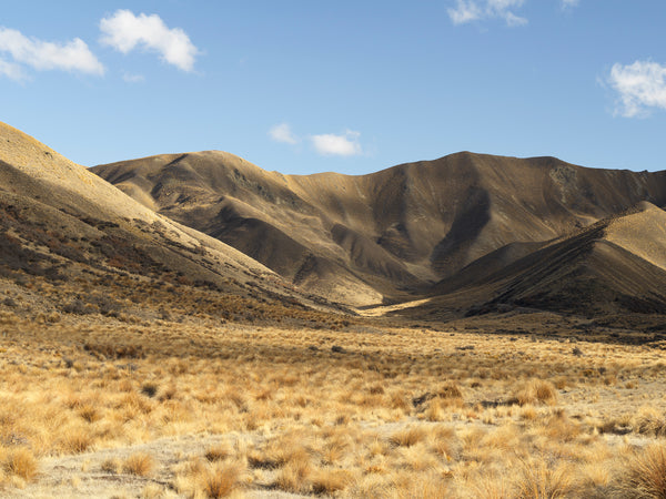 Lindis Pass, Aotearoa / New Zealand