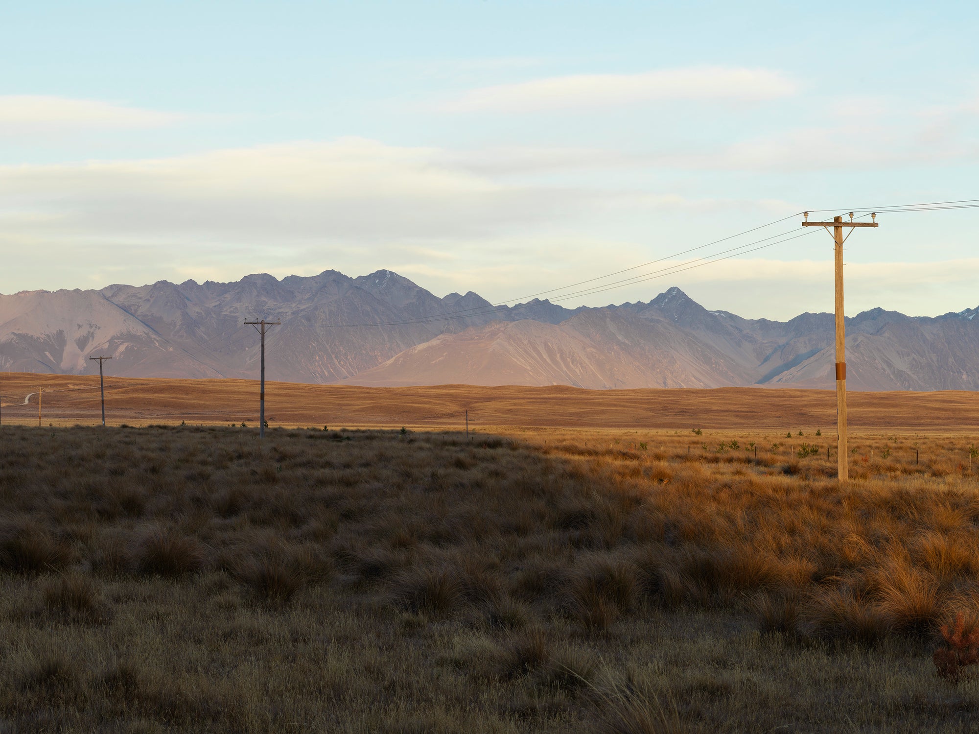 Lines, Aotearoa / New Zealand