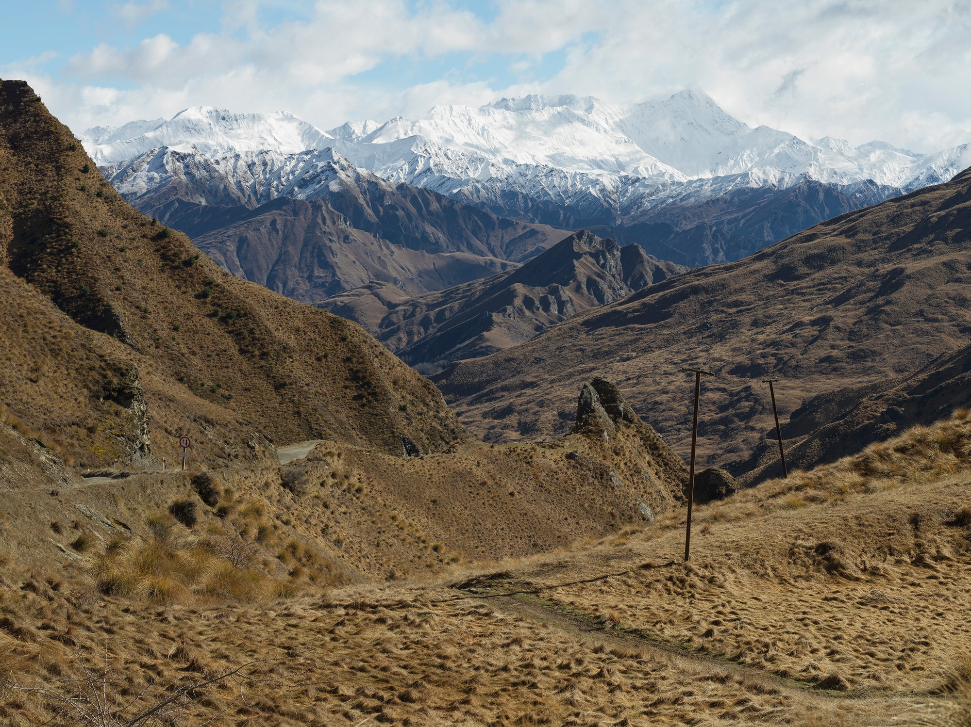 Skippers, Aotearoa / New Zealand
