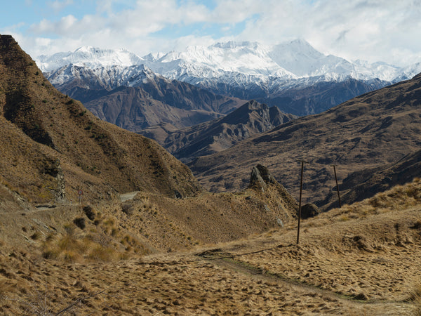 Skippers, Aotearoa / New Zealand