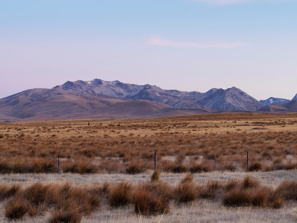 Tekapo, Aotearoa / New Zealand
